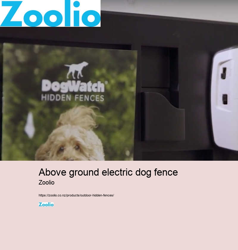 above ground electric dog fence