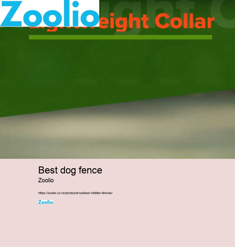 best dog fence