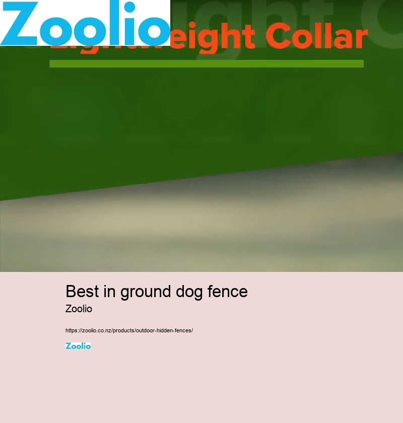 big dog fence