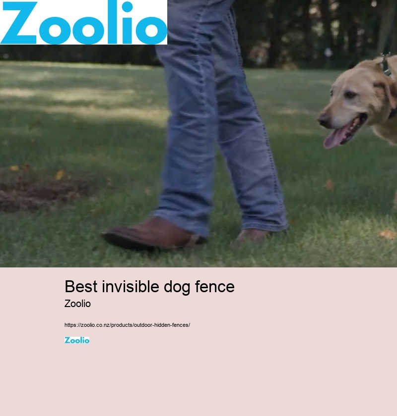 customizable wireless dog fence