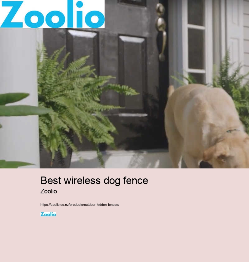 wireless dog fence nz