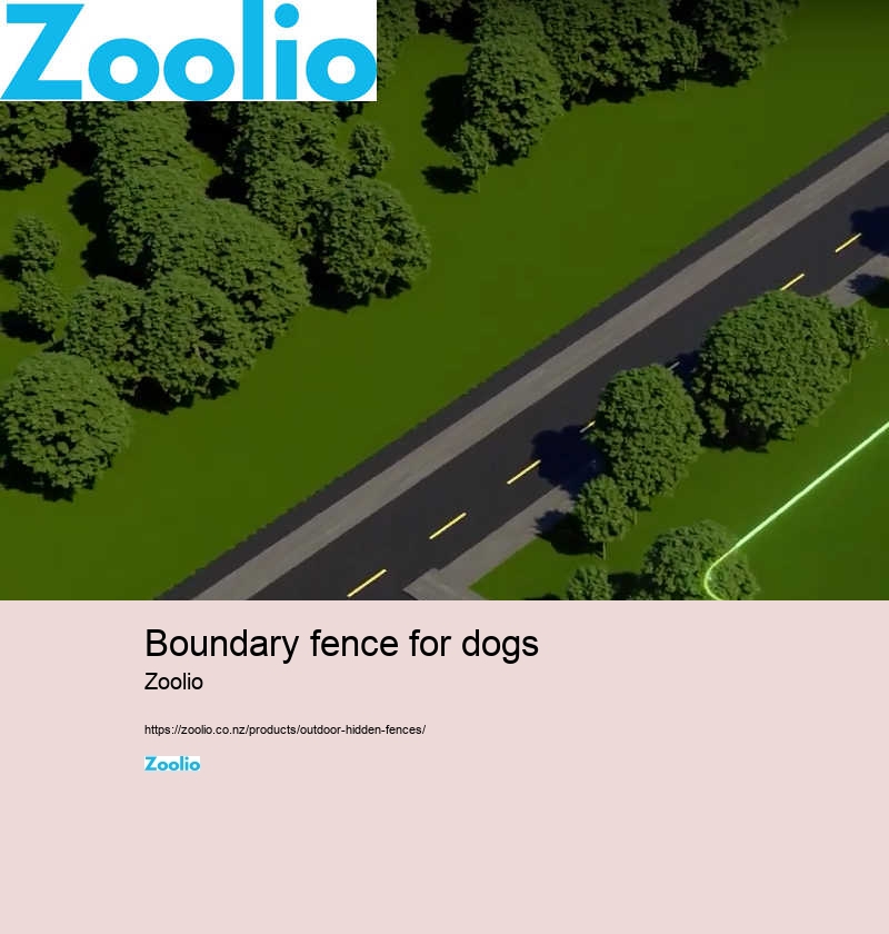 boundary fence for dogs