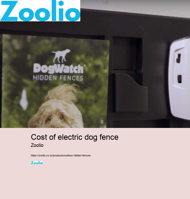 cost of electric dog fence