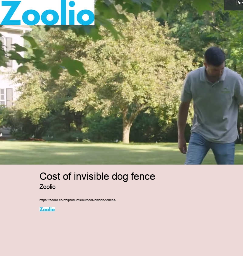 cost of invisible dog fence