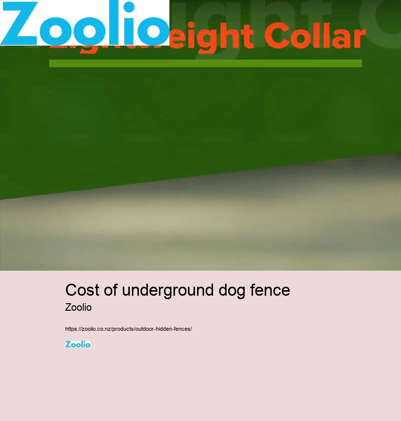 cost of underground dog fence