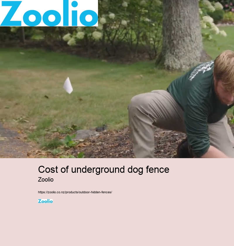 underground dog fence