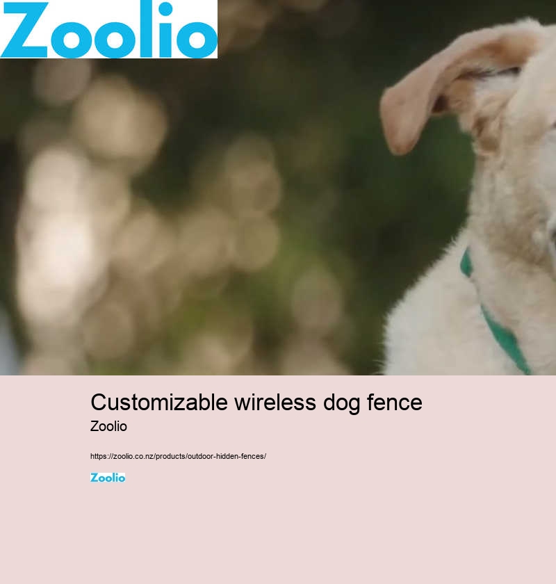 customizable wireless dog fence