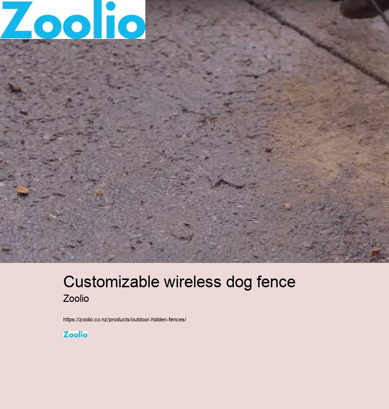 dog fence cost