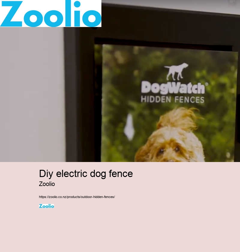 diy electric dog fence