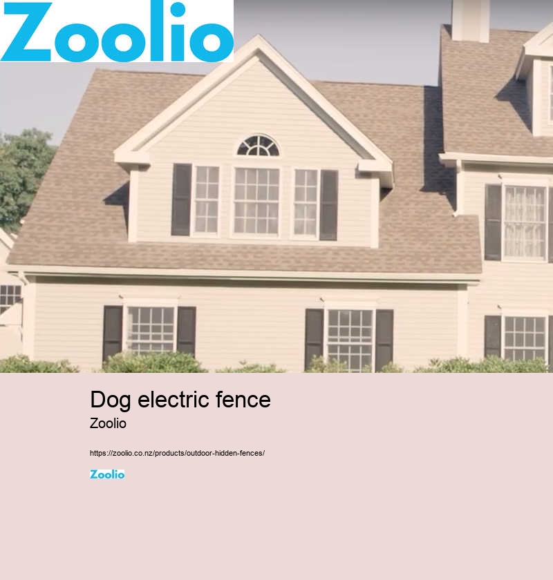 dog electric fence