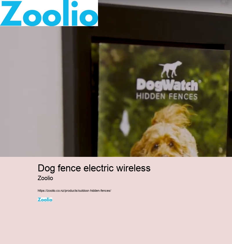 dog fence electric wireless