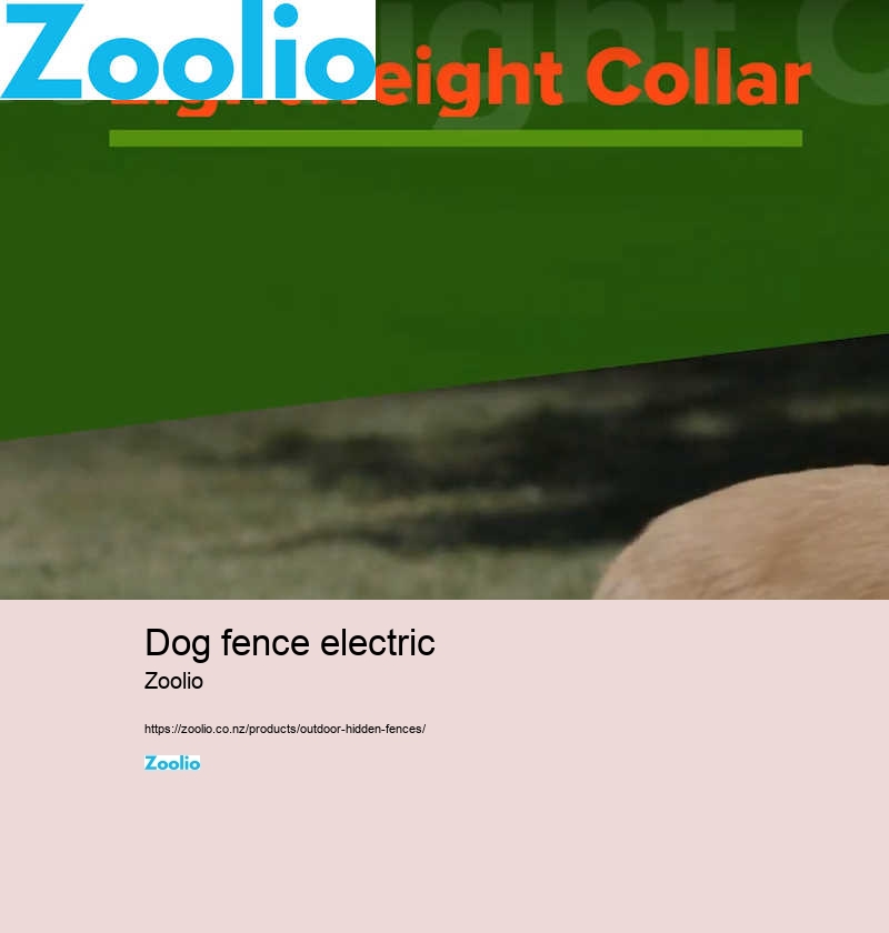 dog fence electric