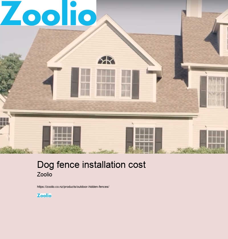 dog fence installation cost