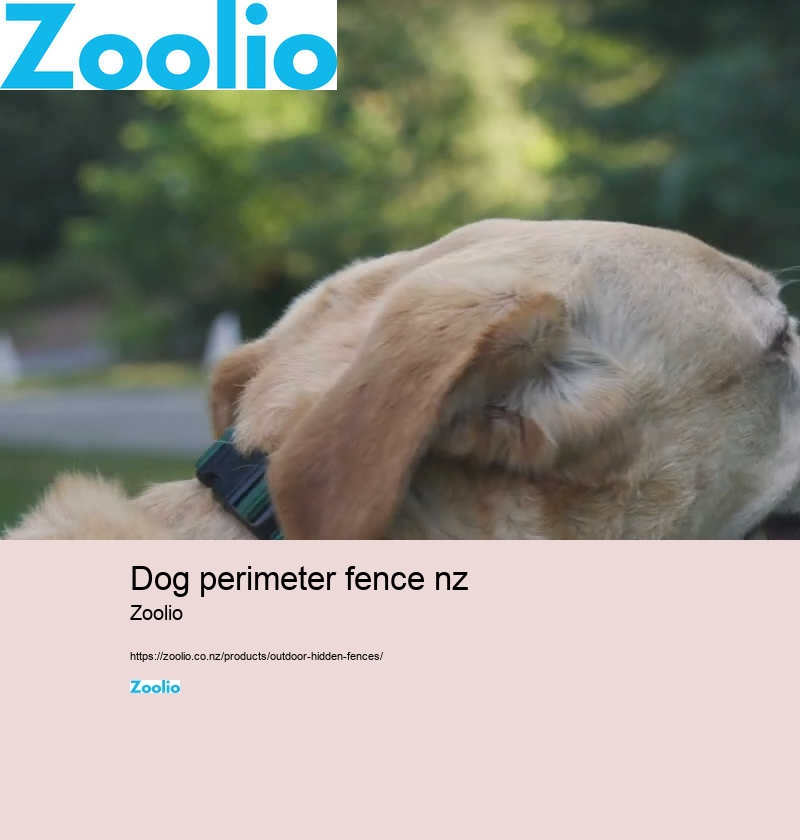 dog perimeter fence nz