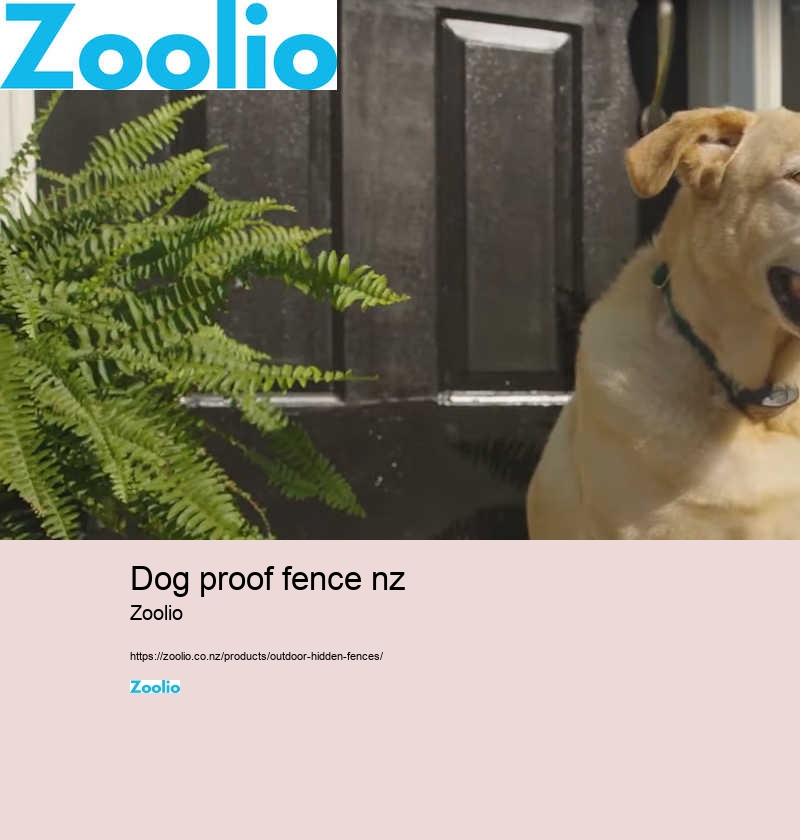 dog fence system