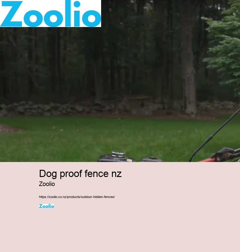 fenceless dog fence