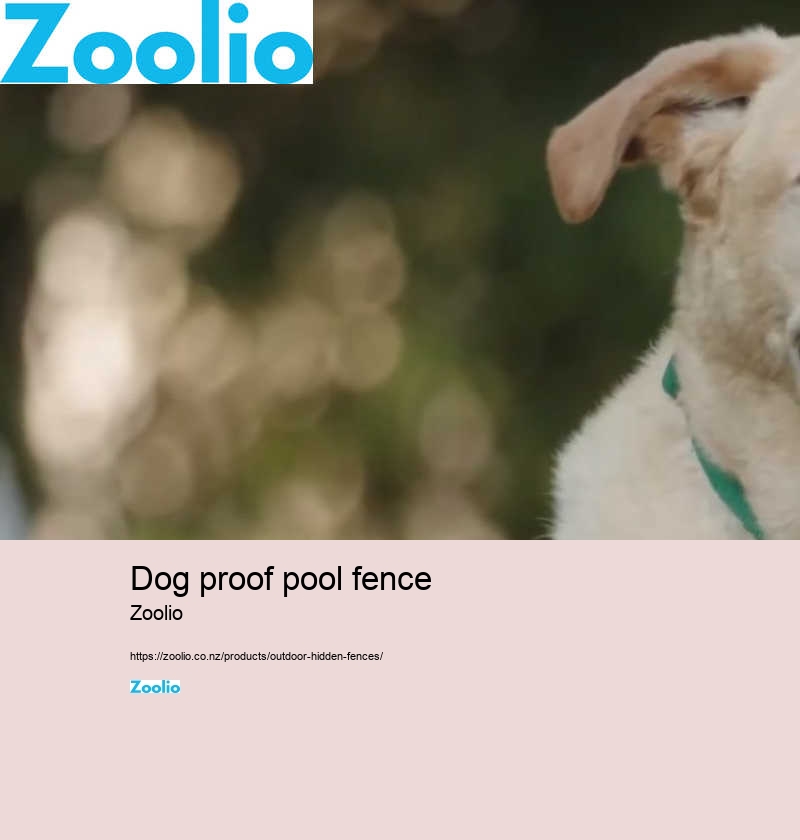 pool fencing for dogs