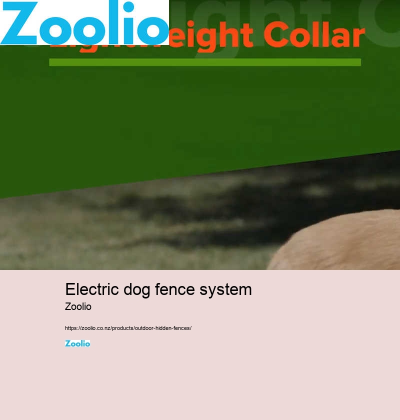 electric dog fence system