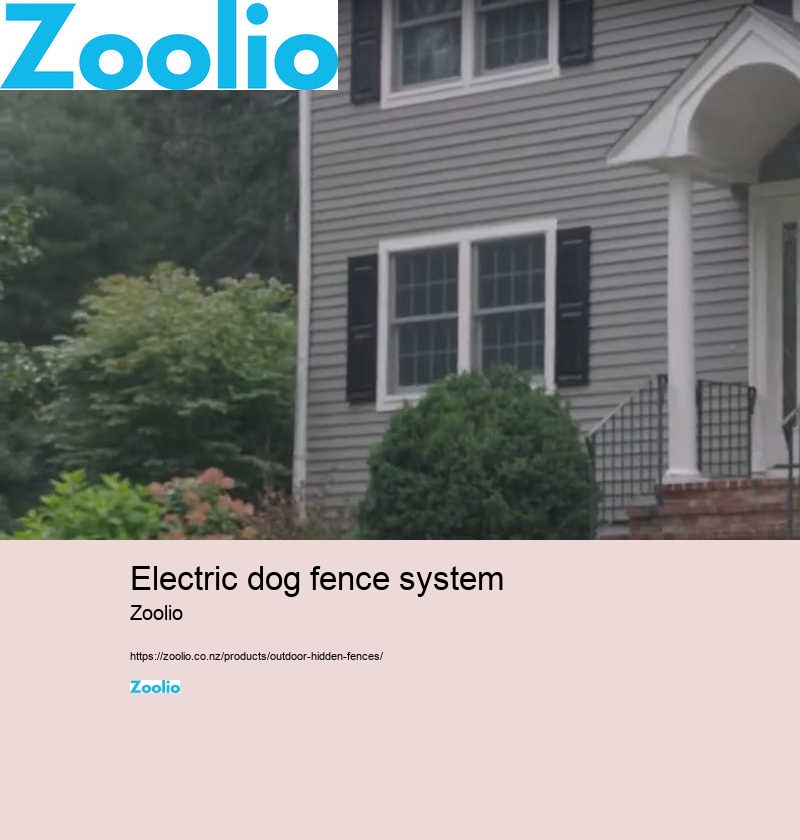 electric dog fence nz