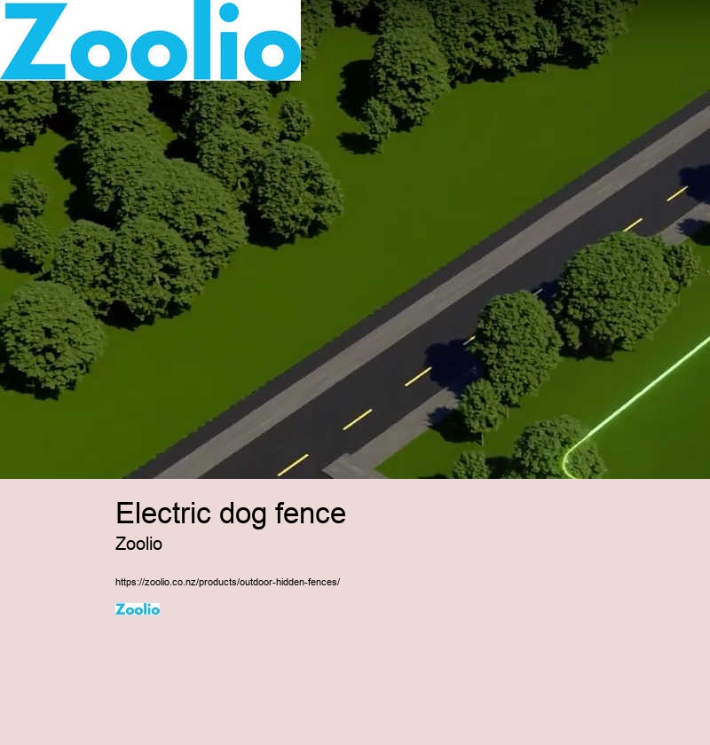 electric dog fence