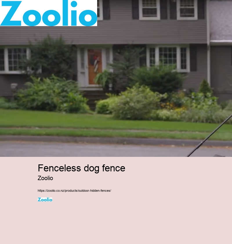 dog fence installers near me