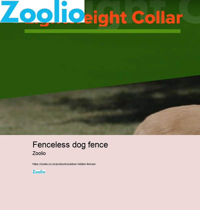 fenceless dog fence