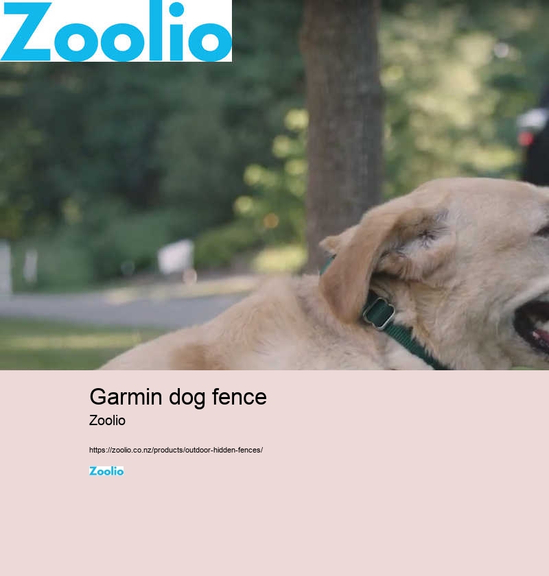 garmin dog fence