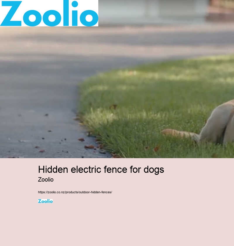 hidden electric fence for dogs