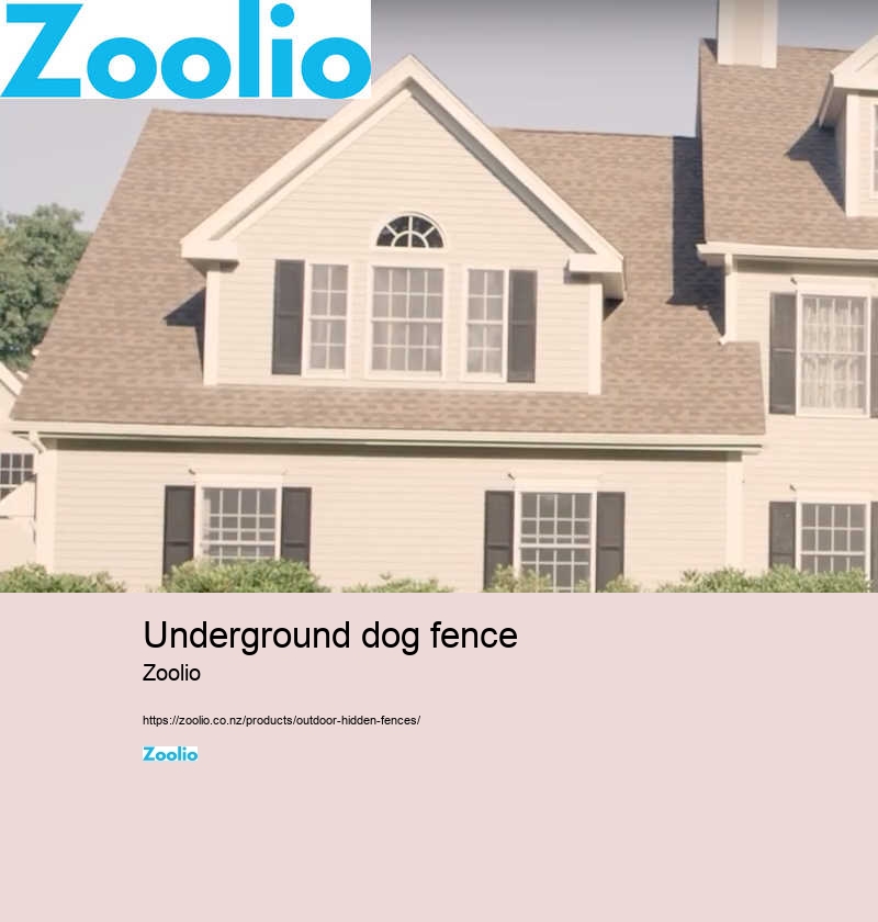 underground dog fence