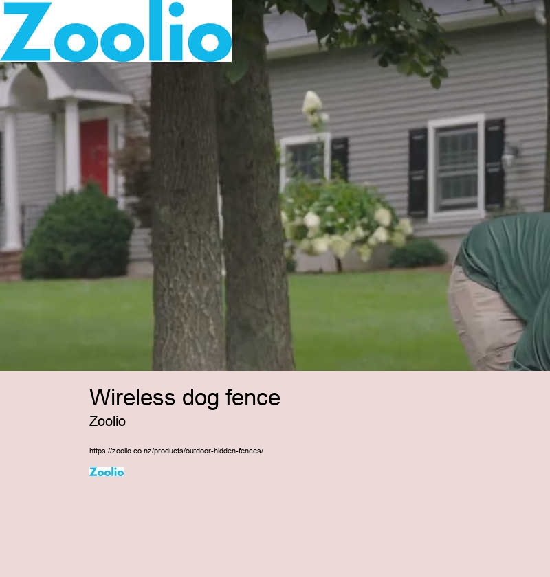 customizable wireless dog fence