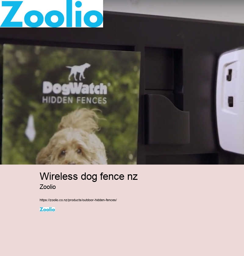 wireless dog fence nz